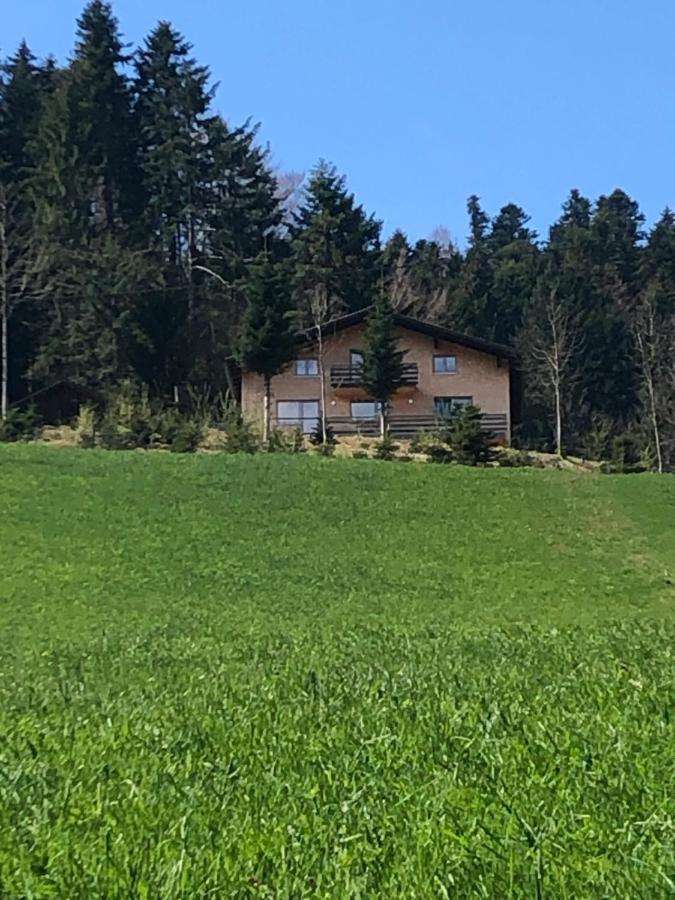Ferienhaus Am Waldrand Von Egg Bregenzer Wald Ngoại thất bức ảnh