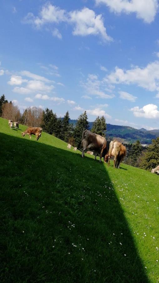 Ferienhaus Am Waldrand Von Egg Bregenzer Wald Ngoại thất bức ảnh